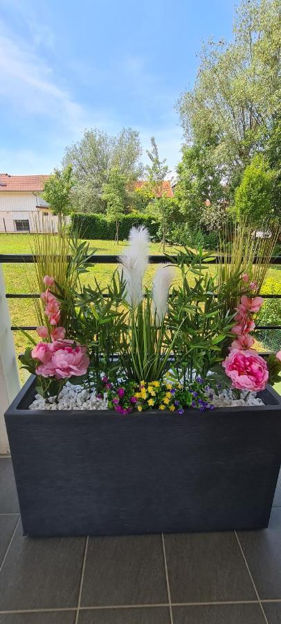 Le Cocon Du Leman Daire Viry  Dış mekan fotoğraf