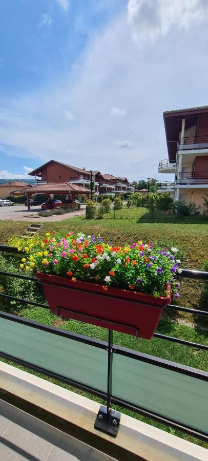Le Cocon Du Leman Daire Viry  Dış mekan fotoğraf