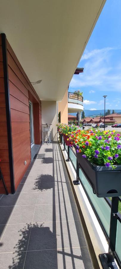 Le Cocon Du Leman Daire Viry  Dış mekan fotoğraf