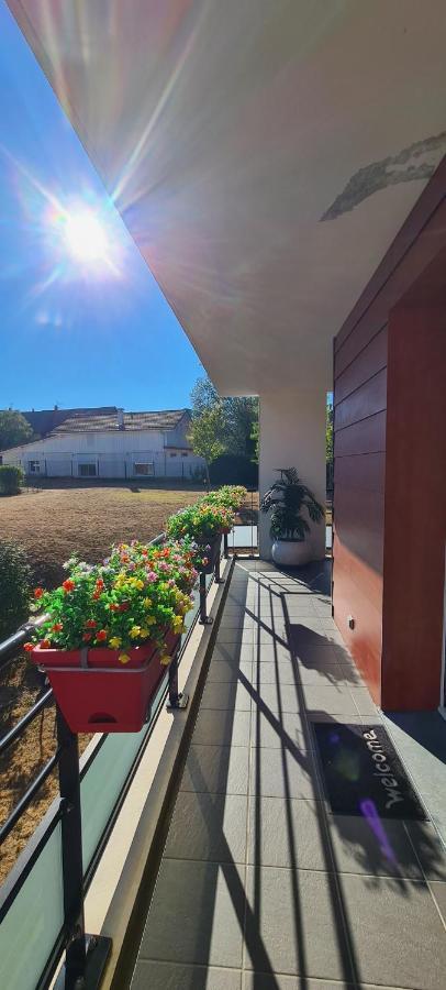 Le Cocon Du Leman Daire Viry  Dış mekan fotoğraf